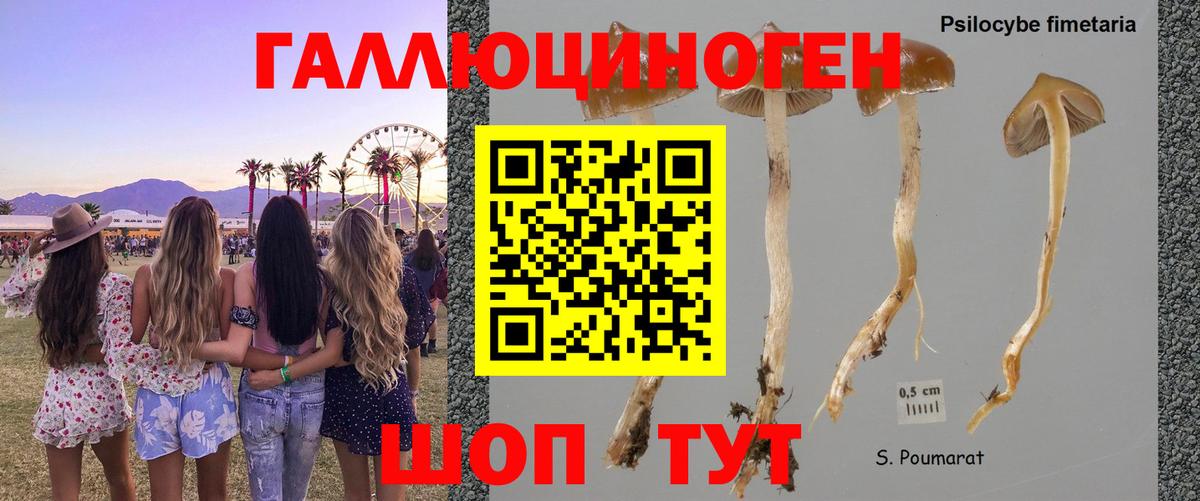 Псилоцибиновые грибы GOLDEN TEACHER Североуральск