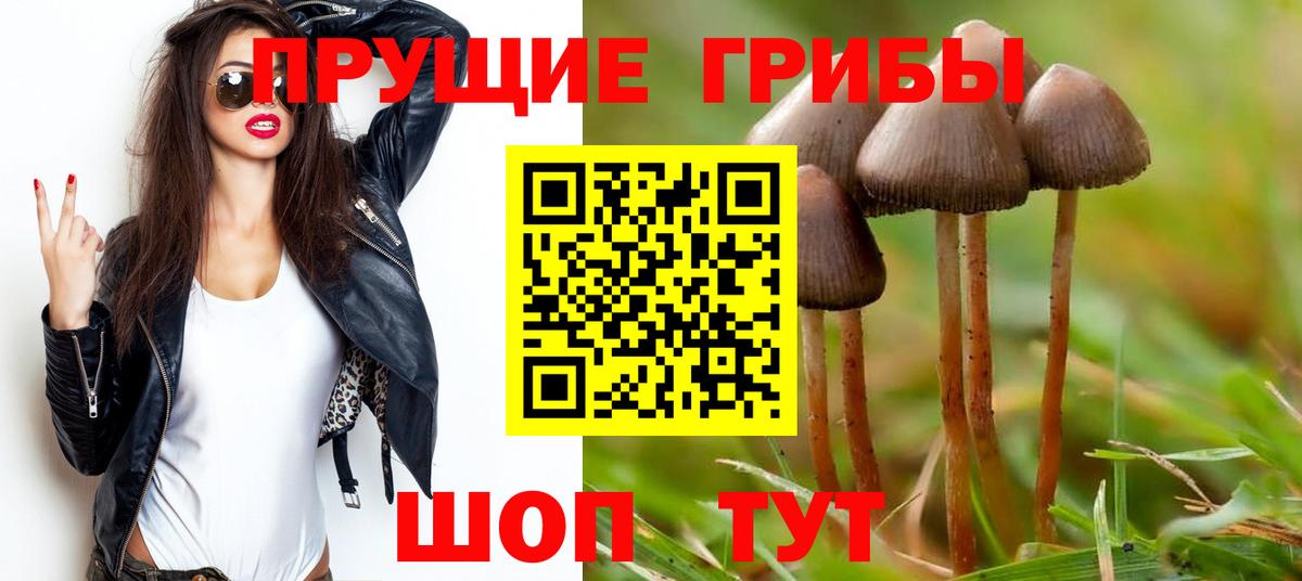 Североуральск  Галлюциногенные грибы Psilocybe  Галлюциногенные грибы мицелий  Вход с VPN 